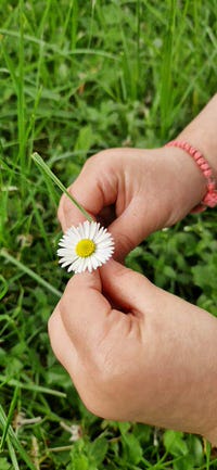 Ausfluege und pädagogische Angebote