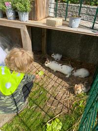 Bauernhof-Besuch