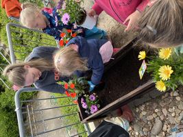 Pflanzaktion Frühling