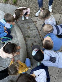 Wir erkunden den Wiehlpark