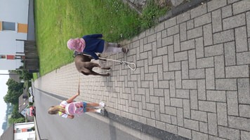 Tiergestützte Therapie