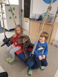 Tiergestützte Therapie