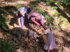Tiergestützte Therapie